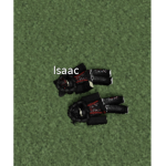 Team Twins logo