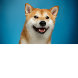 MEME MEME MEME MEME MEME MEME MEME MEME MEME MEME