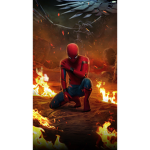 Spider mao