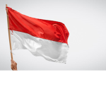 Manusia_indo>pastinya