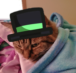 aeMatty