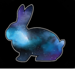 Galaxy Bunny Gaming Fan Club