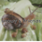 snowy & snail friends
