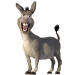 Donkey donuts