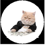 High Cat Youtube!
