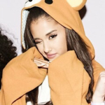 Kitten Pequeno