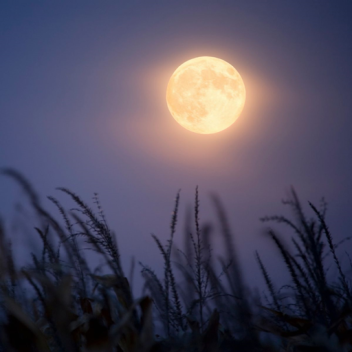 A Walk In An Old Town At Night