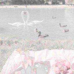 ʚɞ