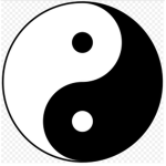 Yin Vs. Yang Pro Ninja's