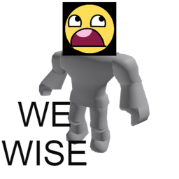 the wise robloxians rost