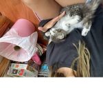 #kittensPoop