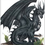 The Black Dragons Crime Family.