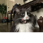 The magnificent smoky