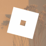 The aesthetic roblox group 10/10