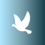 FlyVision