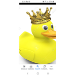 DUCK ARMY GROUP