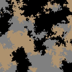 Camo 1