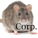 R.A.T Corp
