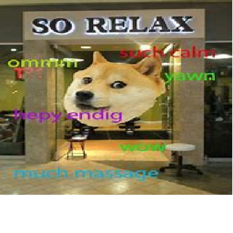 Doge Group's [ALPHA] Summer break