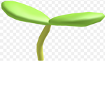 Sprouty group