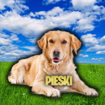 P-i-e-s-k-i Group Thumbnail
