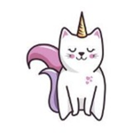 #Kittycorn Squad