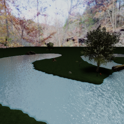 Donation Forest