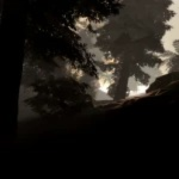  Alberta Canada Forests Showcase