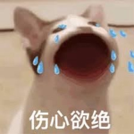 popcat（有感筆電粉絲團）（要有訂閱喔）