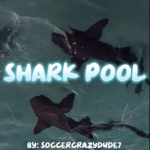 Shark Pool !