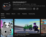 David gaming studio
