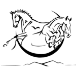 Dark Oak Equestrians