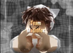Team Mathblox