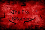 The Pro Brothers (Not for long existing group)