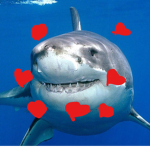 |~|Sharkie squad|~|