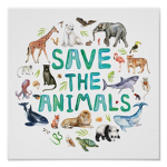 SAVE THE ANIMALS OF THE WORLD!!!!!! SHOW YOU CARE.