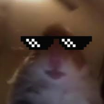 gamer4real