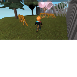 TIGER ZOO!