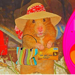 Hamster raids zoom class