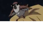 F.B.I (Federal Bird Incorporation)