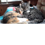 Kitty’s group!!!