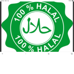 THE HALAL BROTHERS from other mothers
