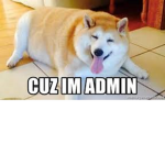 The fat doges.