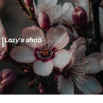 Lazy's shop
