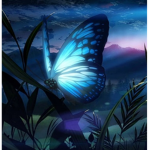 Shop Butterfly!