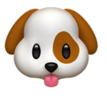 Dogs fans are welcome