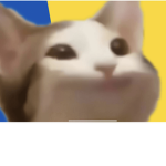 Cayan cat (: