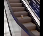 Mayonnaise HQ