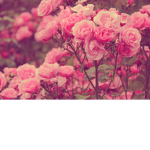 Enjoy!!