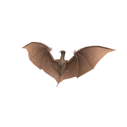 Rodan (Morph)
